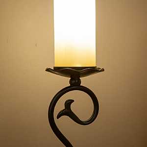Настольная лампа L'Arte Luce NAPOLI L13831.03