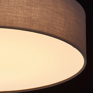 Потолочный LED светильник MW Light Дафна 453011301
