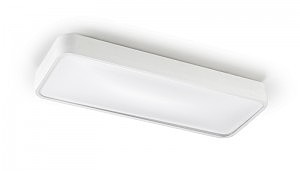 Светильник потолочный Leds C4 Ras 15-4686-14-M1