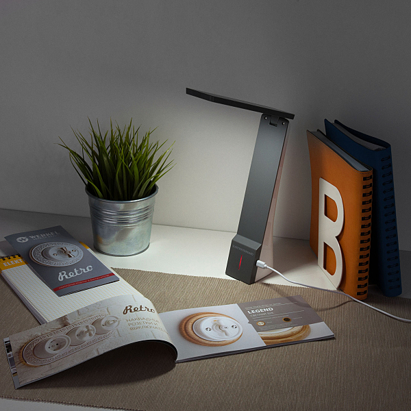 Настольная лампа Eurosvet Desk Desk белый/серый (TL90450) 3W