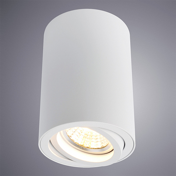 Накладной светильник Arte Lamp Sentry A1560PL-1WH