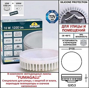 Уличный настенный светильник Fumagalli Elisa DS2.560.000.WXD1L