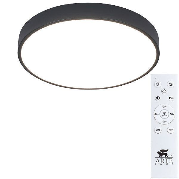 Потолочный светодиодный светильник Arte Lamp Arena A2661PL-1BK