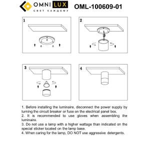 Накладной светильник Omnilux Lucido OML-100609-01