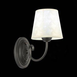 Настенное бра Evoluce Rimento SLE120301-01