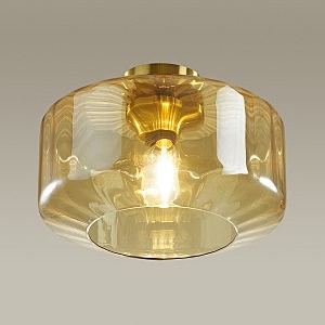 Светильник потолочный Odeon Light Binga 4747/1C