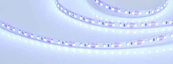 LED лента Arlight RT открытая 012330(1)