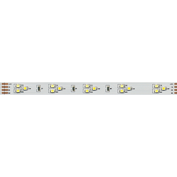 LED лента Arlight RT открытая 013986