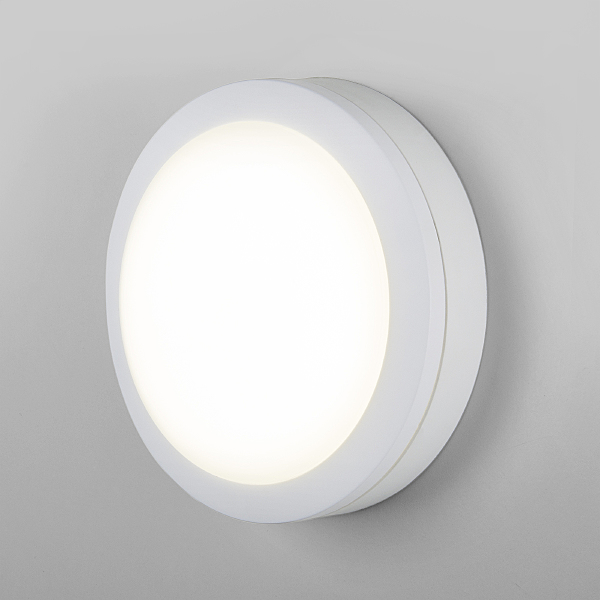 Уличный настенный светильник Elektrostandard Circle LTB51 LED Светильник 15W 4200K Белый