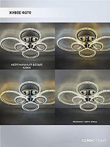 Потолочная люстра Wedo Light Fumane WD7501/6C-WT-CR-RGB