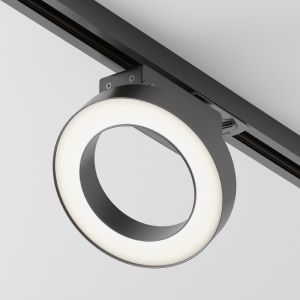 Трековый светильник Maytoni Rim Unity TR044-1-12W3K-B