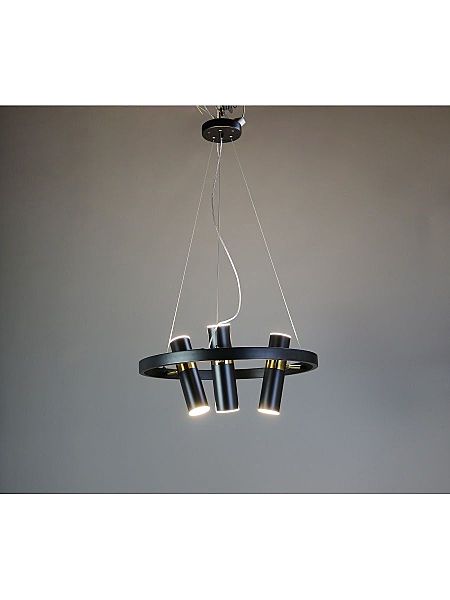 Подвесная люстра Zortes Tweeny ZRS.1828.50