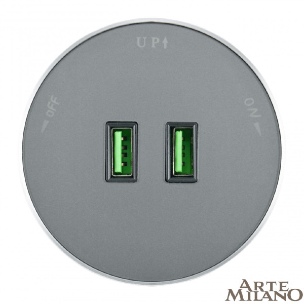 Трековая розетка Arte Milano Am-track-sockets 380011TS/USBx2 Grey