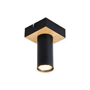 Светильник потолочный F-Promo Olson 4431-1C