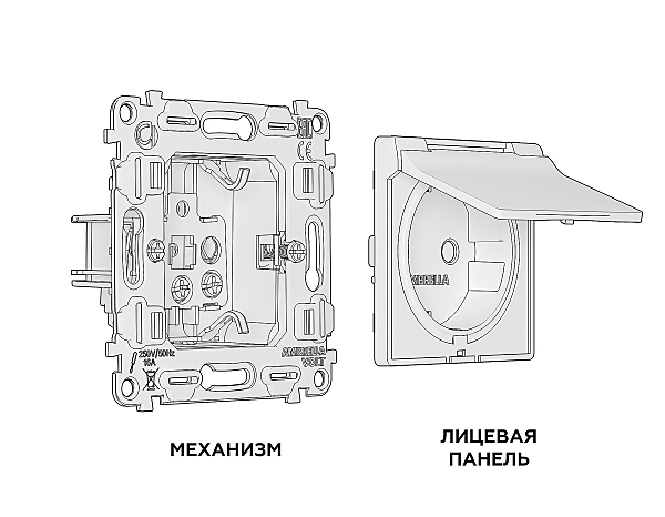 Розетка Ambrella Volt ALFA MA808010
